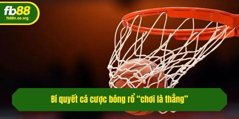 Bí quyết cá cược bóng rổ “chơi là thắng” từ cao thủ Fb88