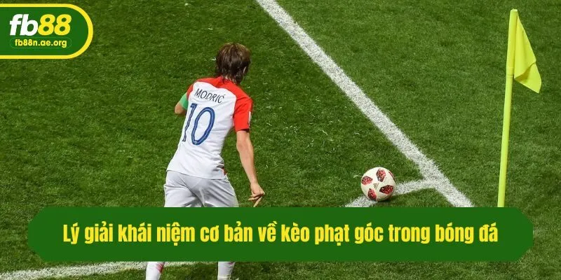 Lý giải khái niệm cơ bản về kèo phạt góc trong bóng đá